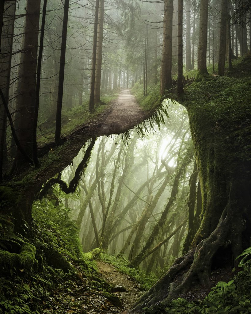 justin peters Underforest