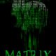 Citation : Matrix