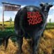 L'album de la semaine : Dude Ranch - Blink-182