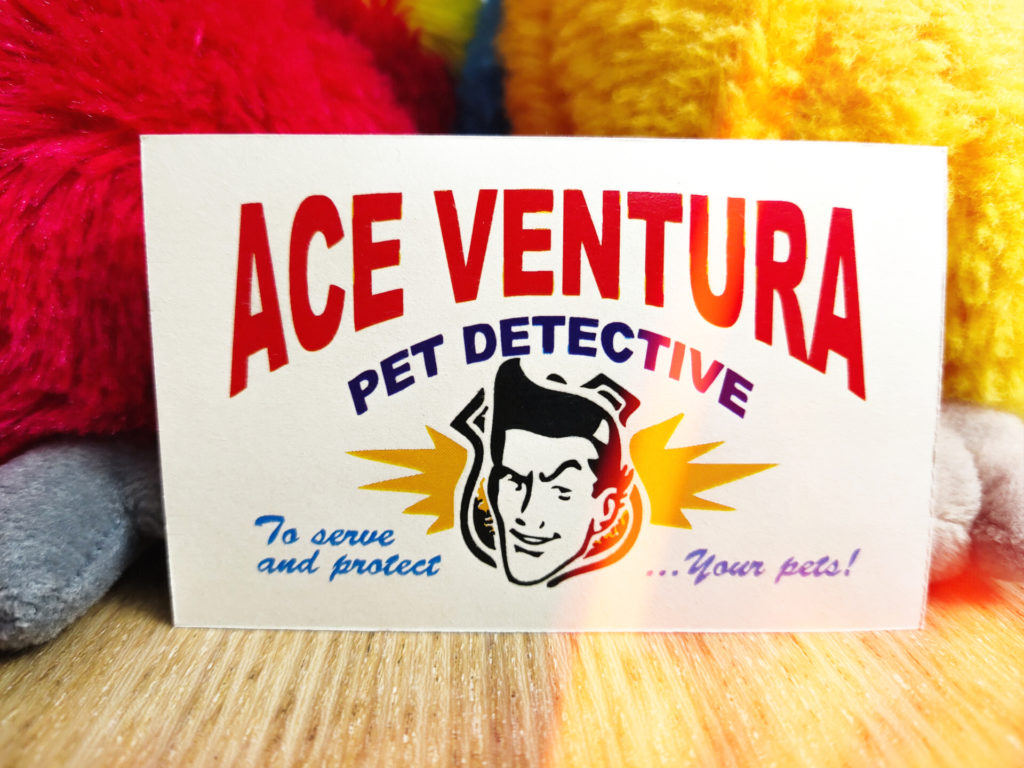 Carte de visite (Business Card) - Ace Ventura